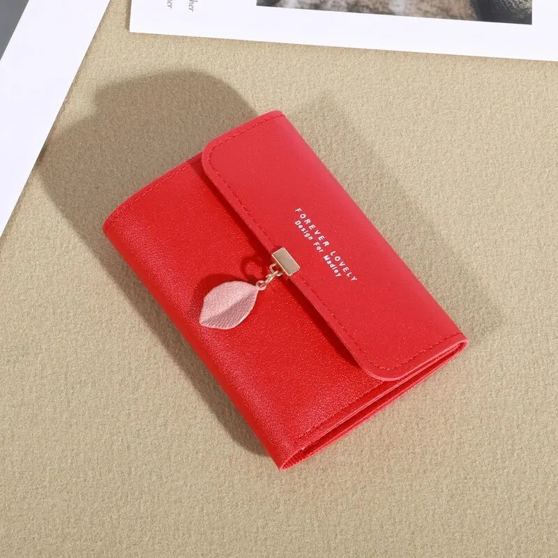 EasyFold Wallet
