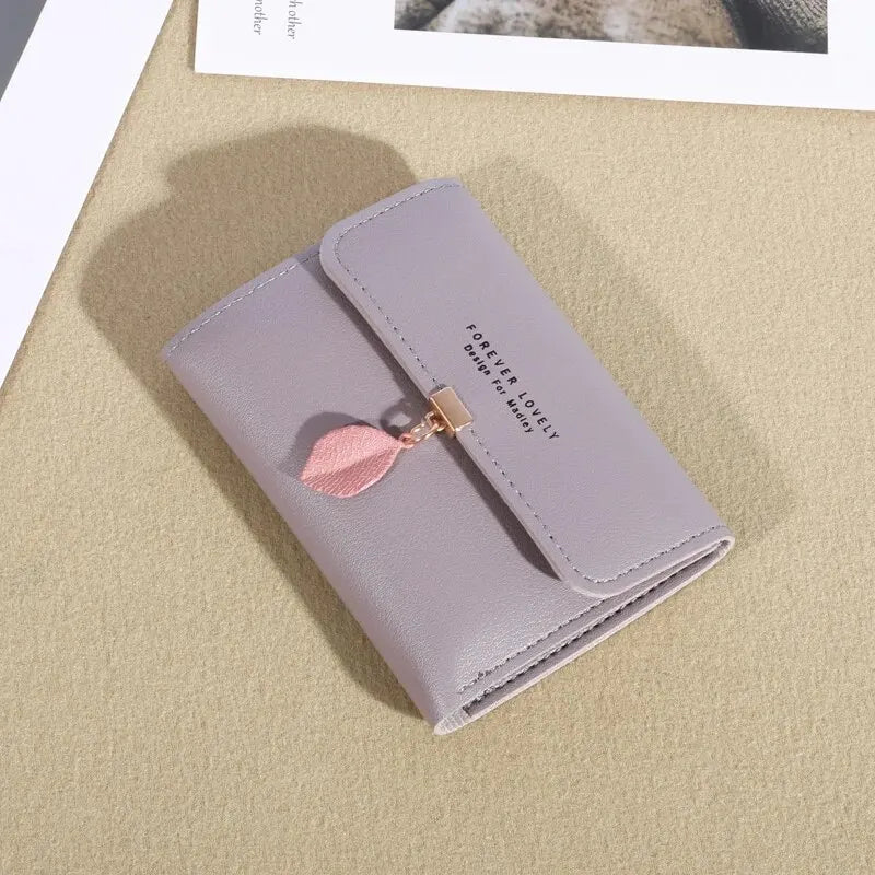 EasyFold Wallet