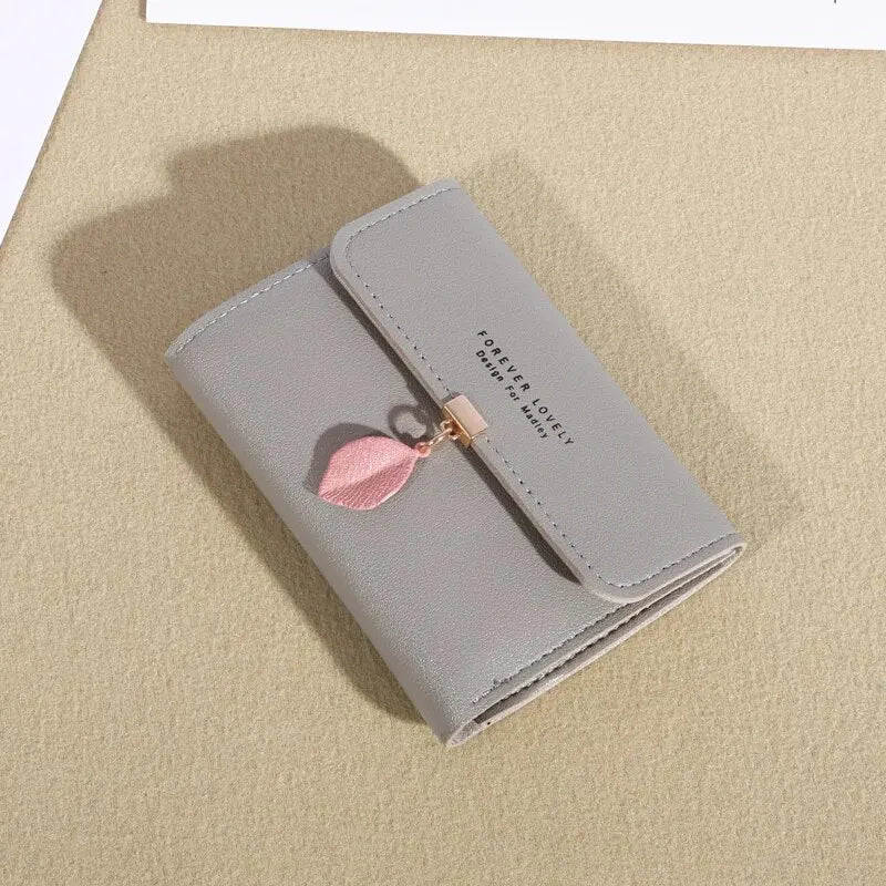 EasyFold Wallet