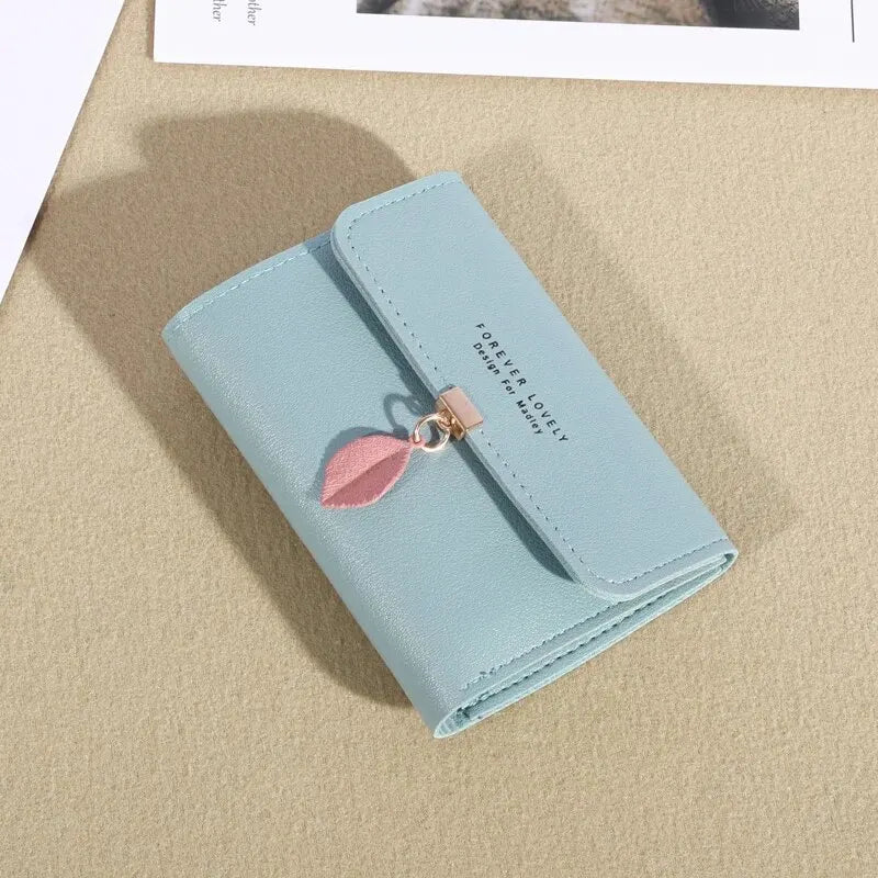 EasyFold Wallet