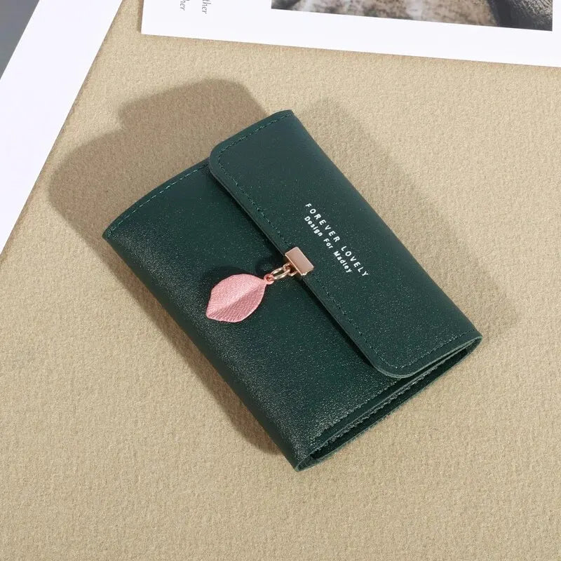 EasyFold Wallet