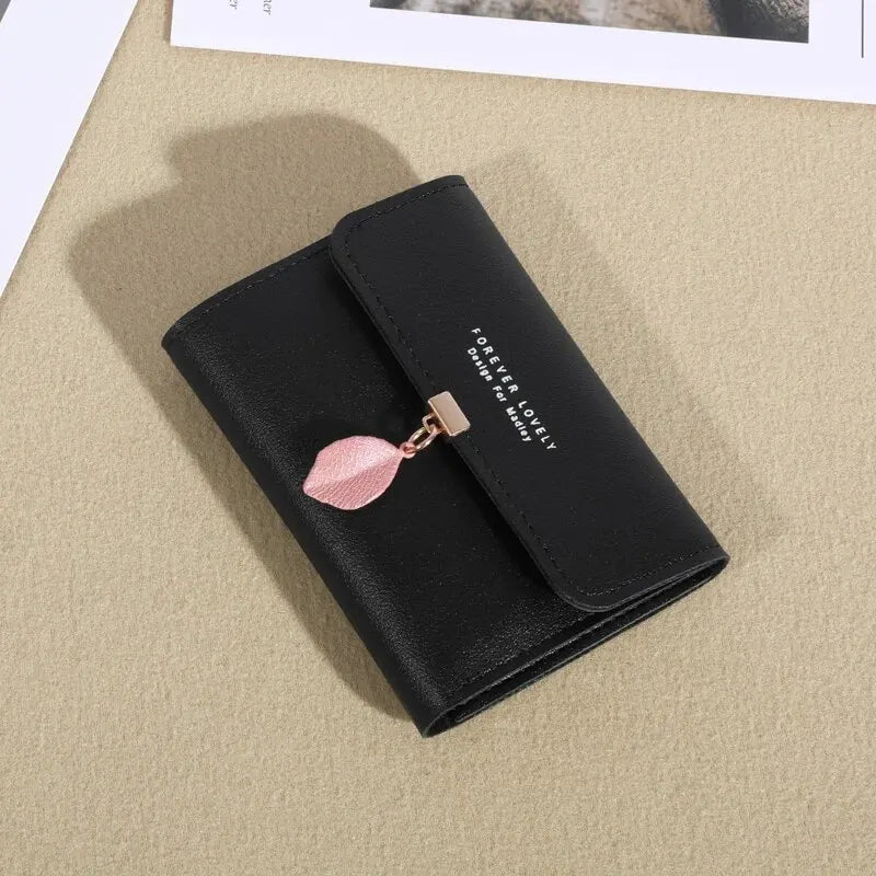 EasyFold Wallet