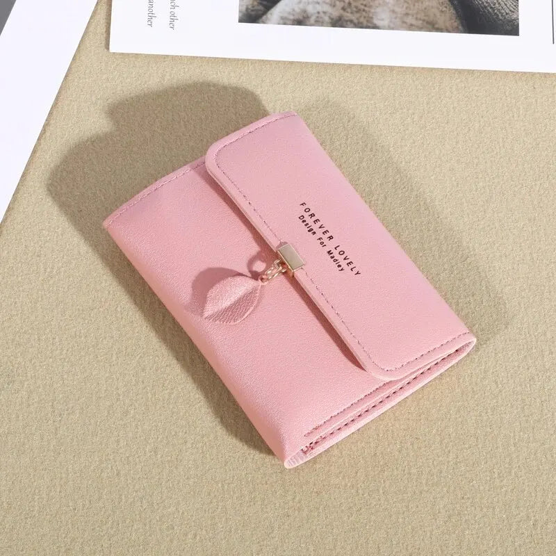 EasyFold Wallet