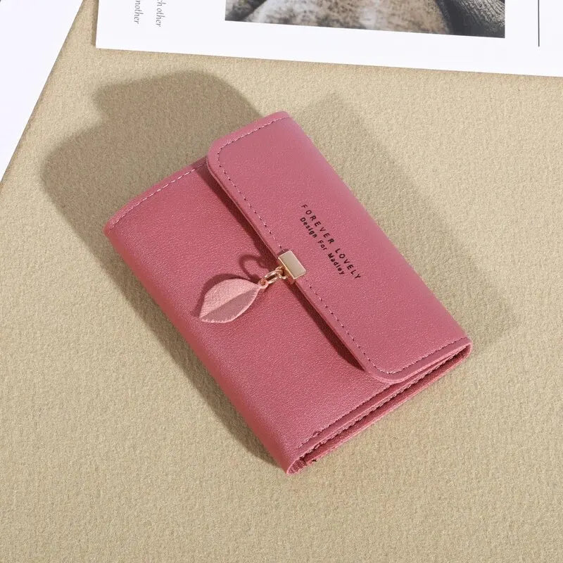 EasyFold Wallet